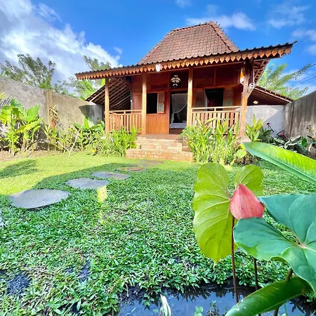 Authentic Wooden 1Bedroom Villa